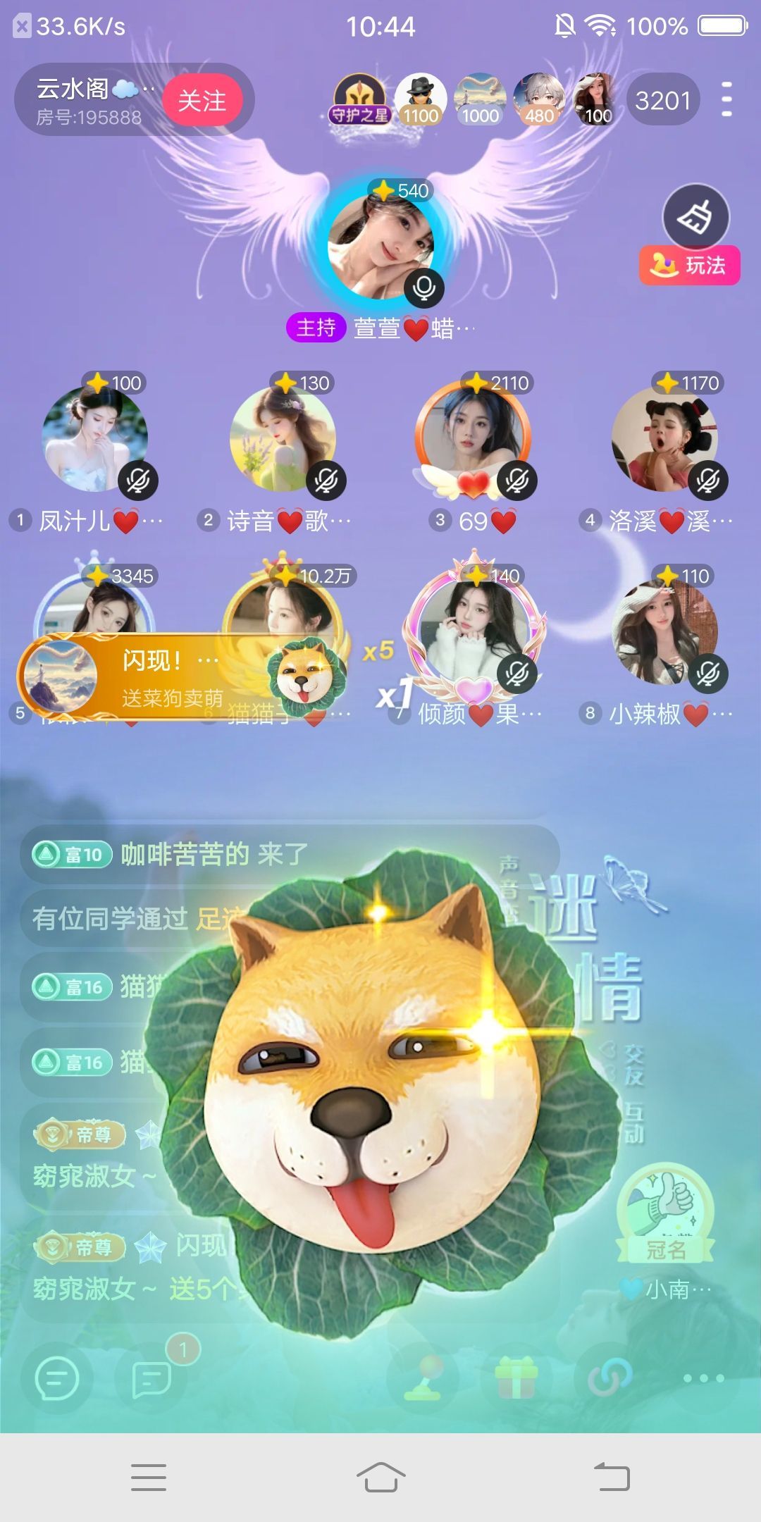 猫猫子💓窈窕淑女～主播图片