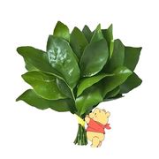 初心🍀/