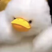 不two