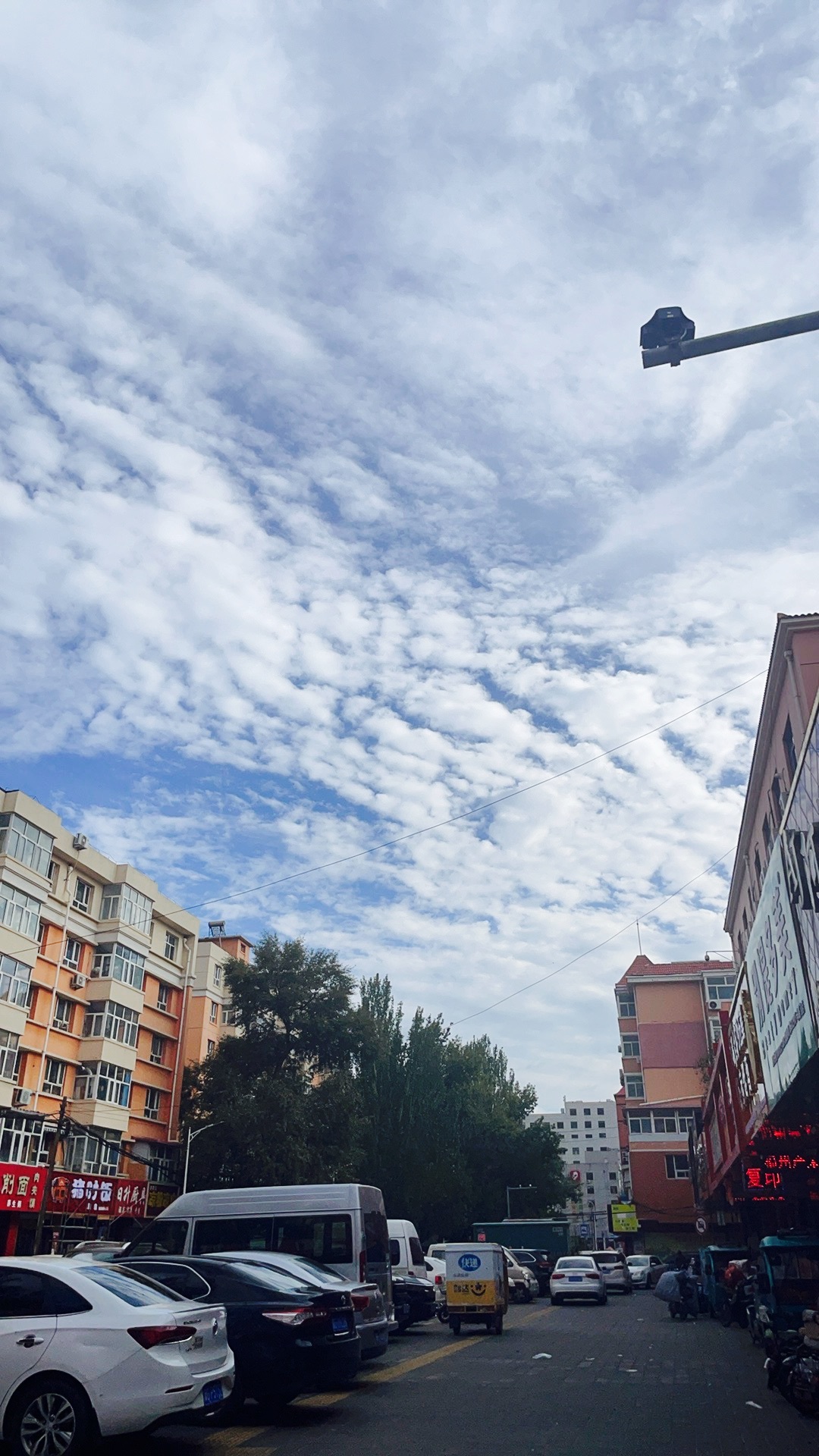 小喵(心累了)主播图片