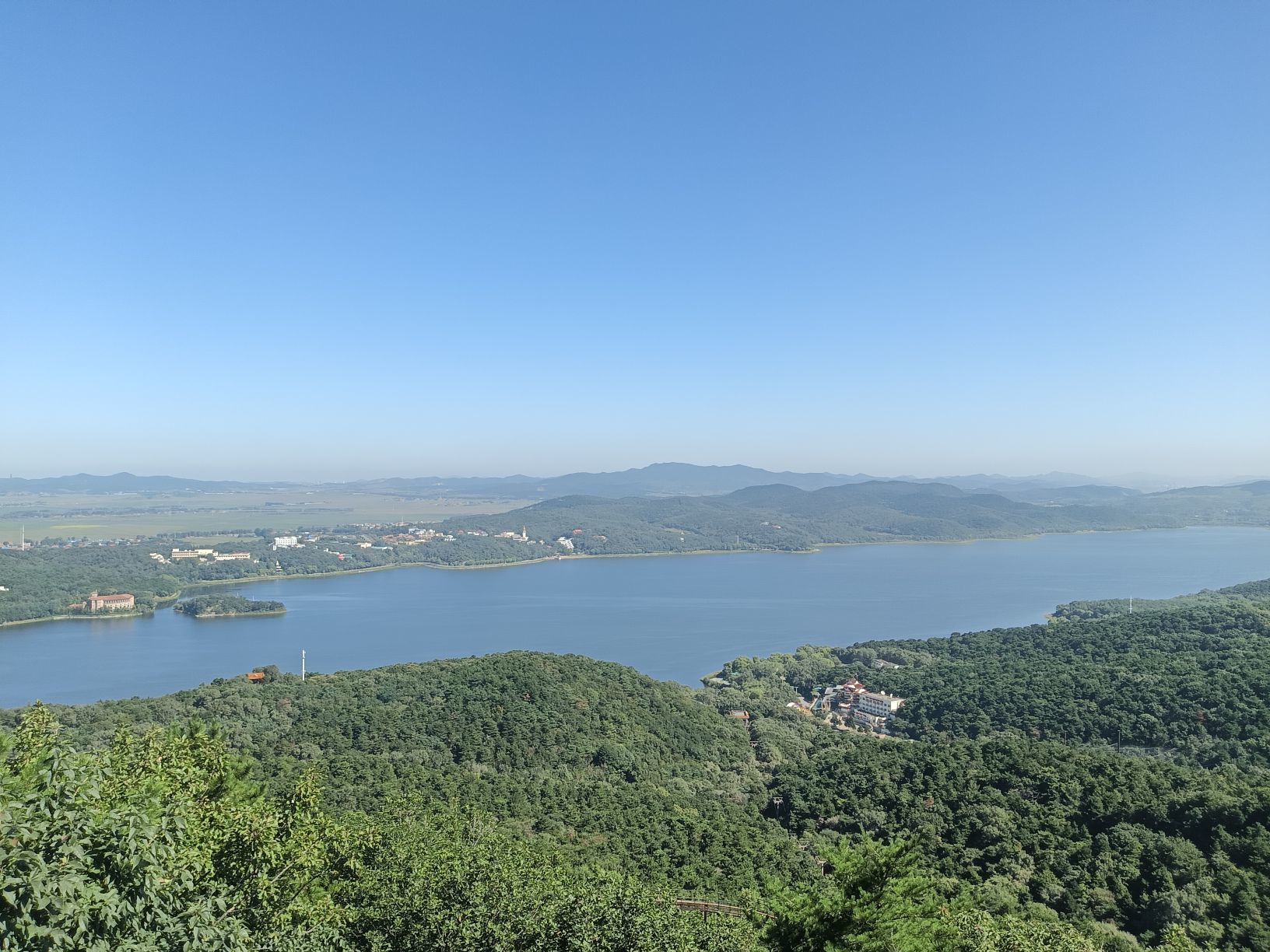 亲爱的你在想我吗冷凡主播图片