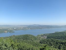 亲爱的你在想我吗冷凡的图片