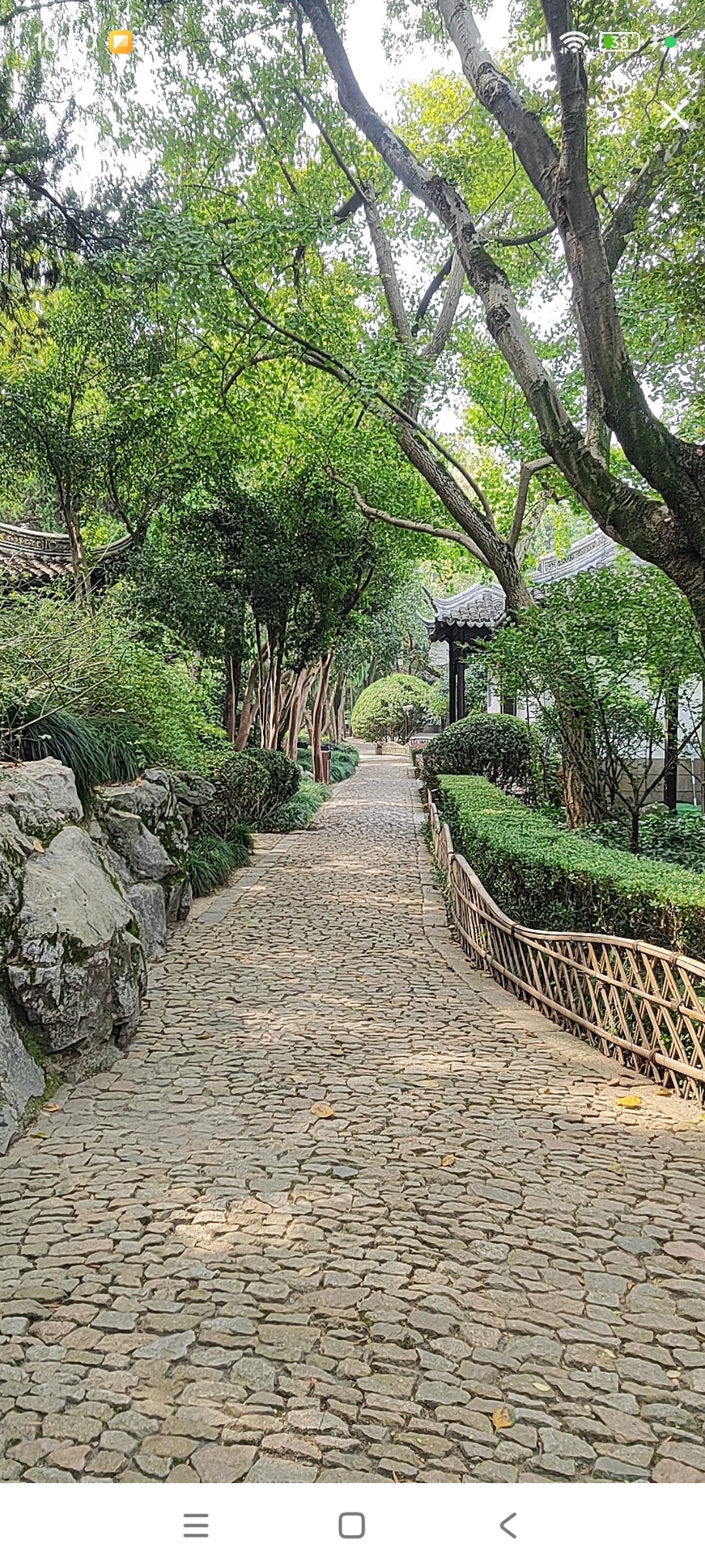 婷婷💕感恩有你陪伴主播图片