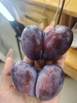 ^艾琳💫回家休的图片