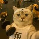 望风而栖w