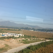 回首己是泪两行。