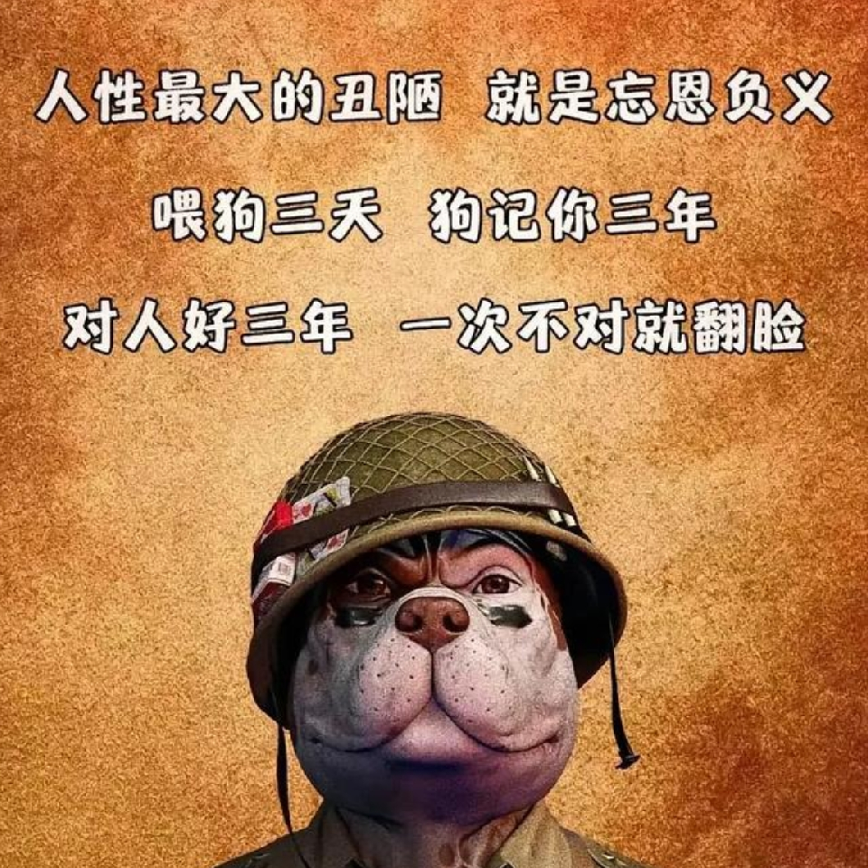 切勿对号入座~茶已凉海报