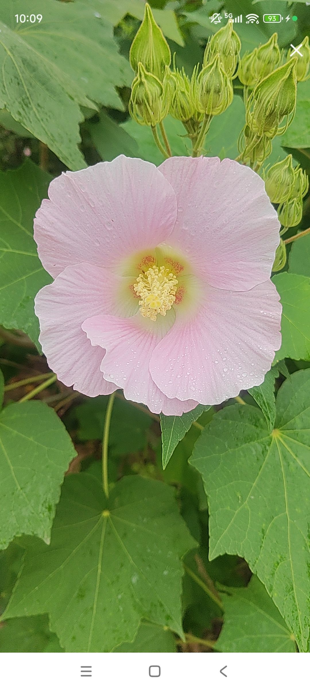 婷婷💕感恩有你陪伴主播图片