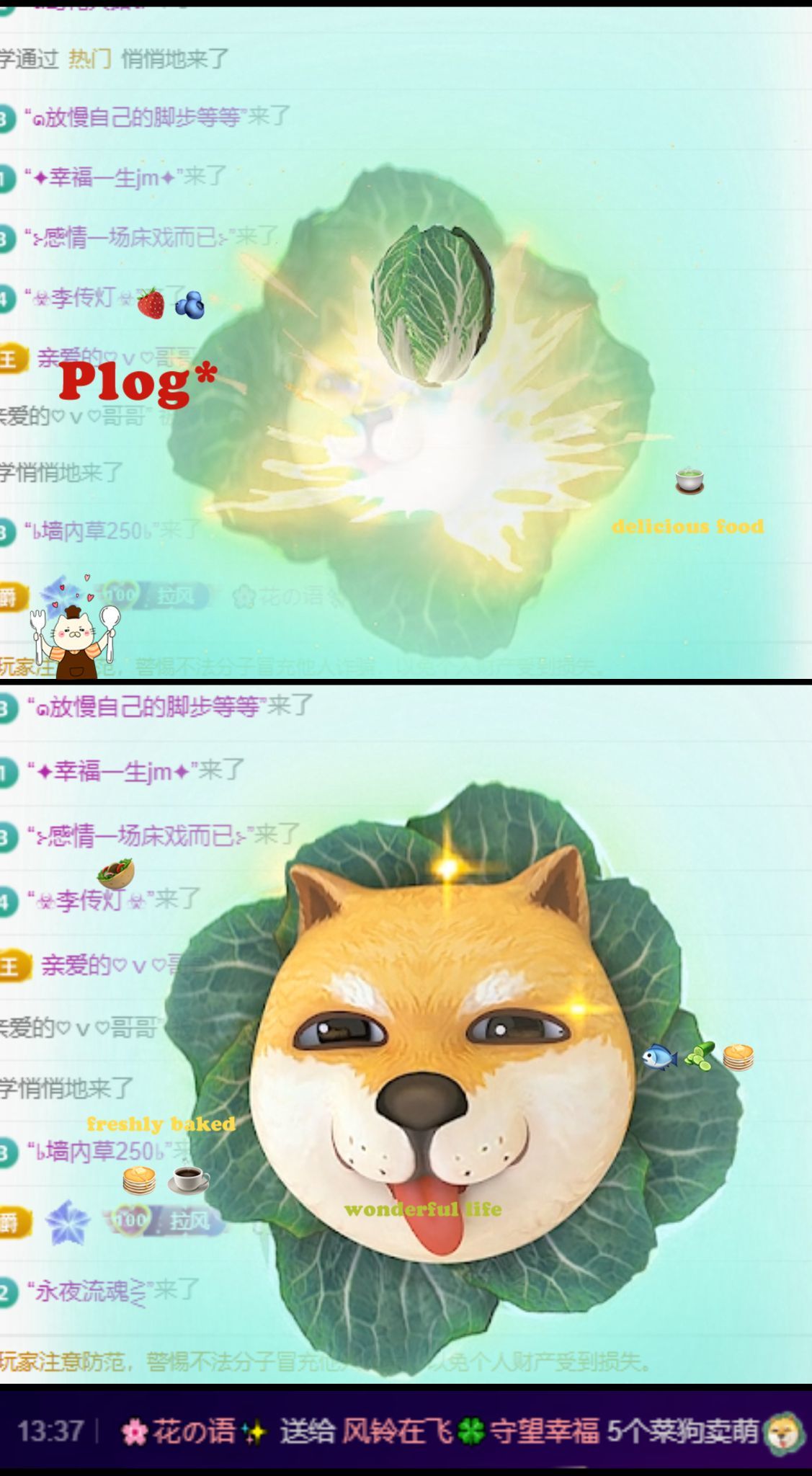 風(fēng)鈴在飛??守望幸福的主播照片