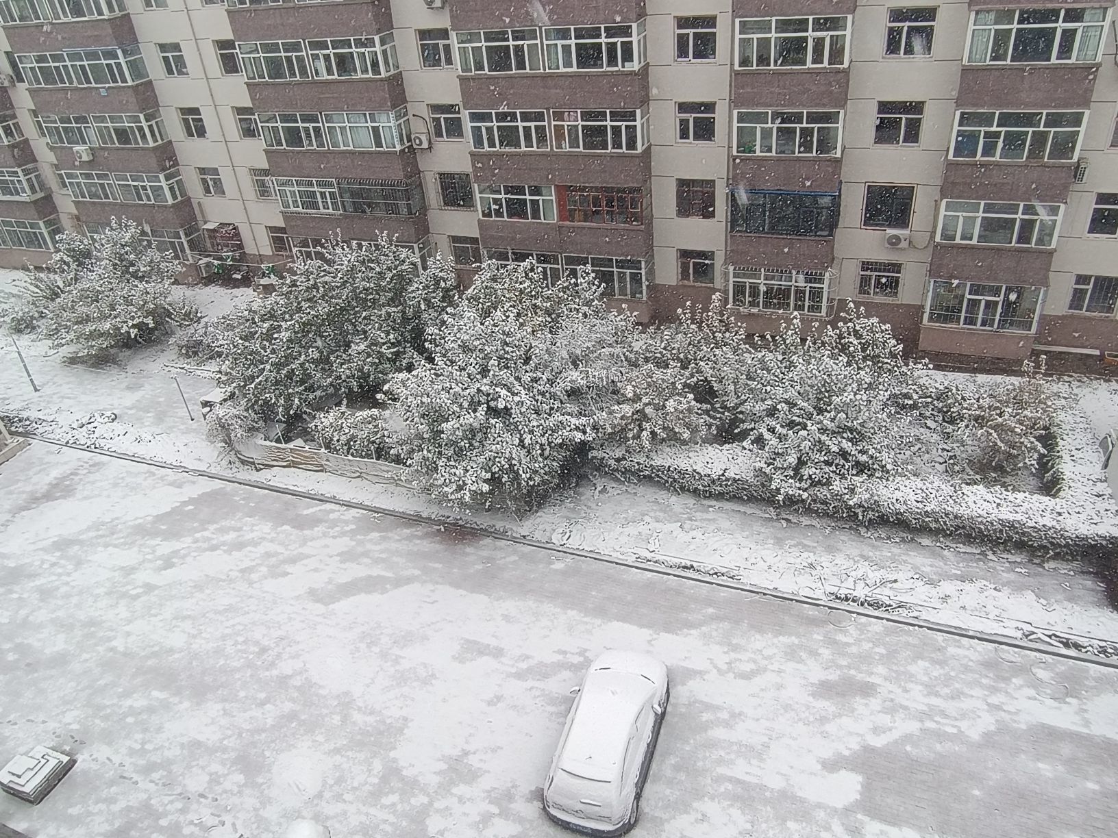 小七金光灿灿主播图片