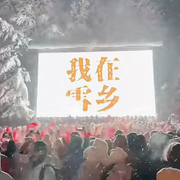 心已經(jīng)去了那片雪白的頭像