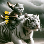 我叫叶龙宇海报