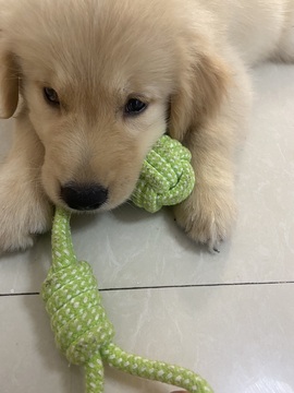 小可柔💜的图片