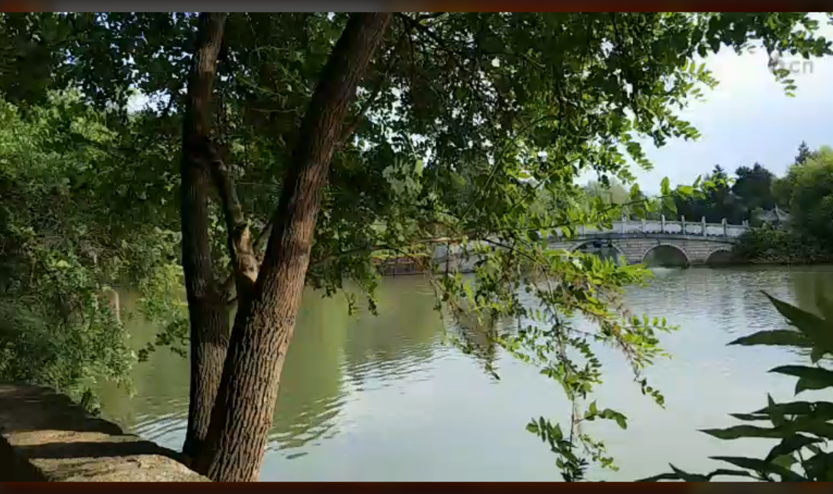 ╰つ子雲╰ゞ的图片