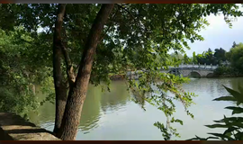 ╰つ子雲╰ゞ主播照片