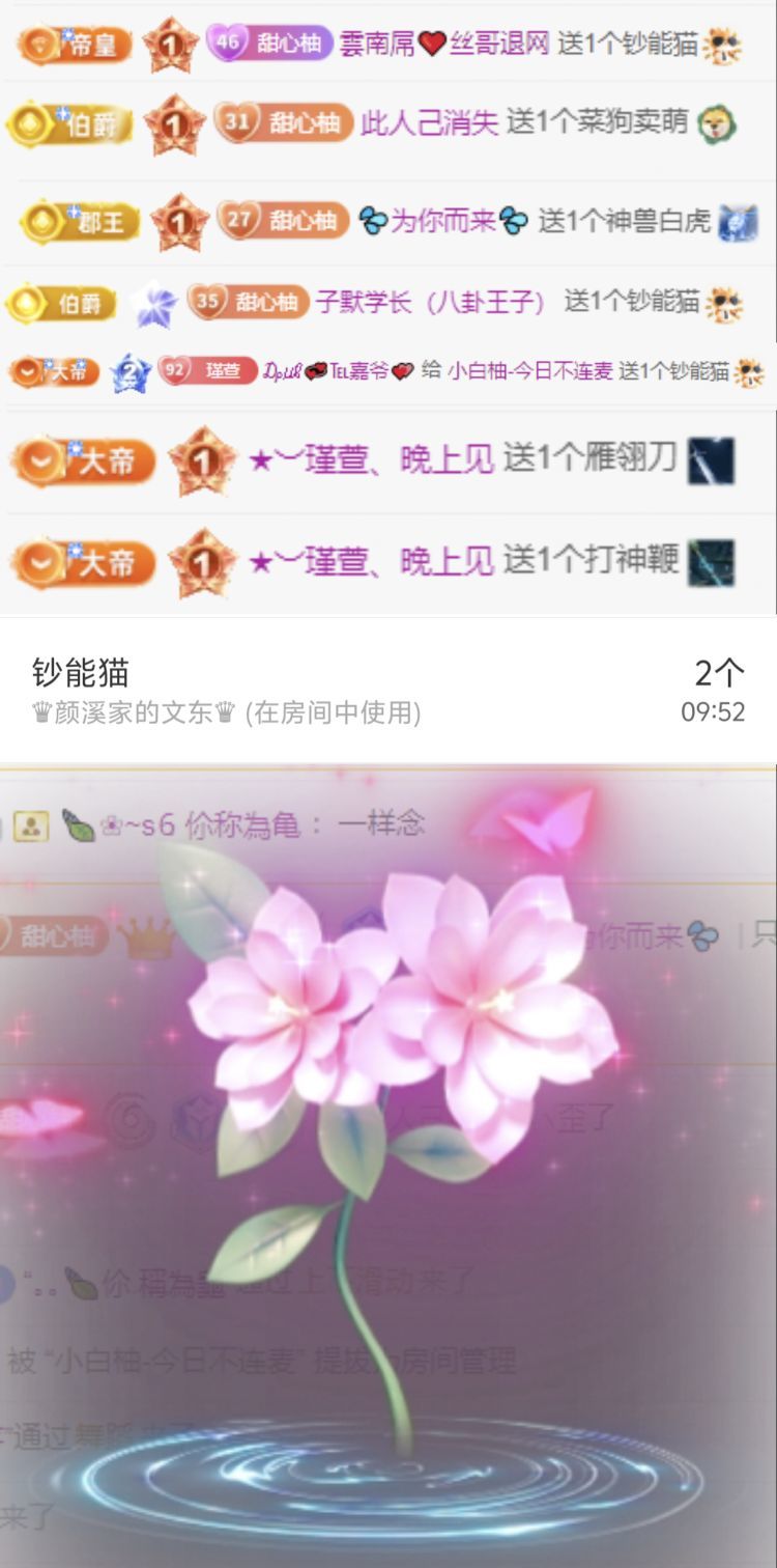 小白柚的主播照片