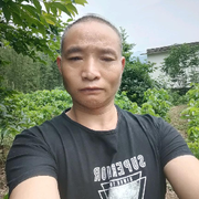 戶外小蜜蜂