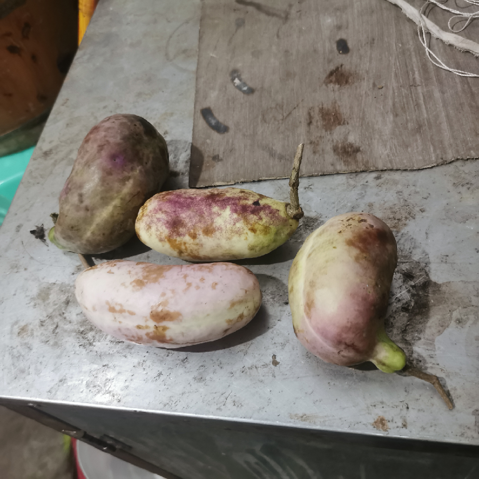 萌新宝宝06efdK海报