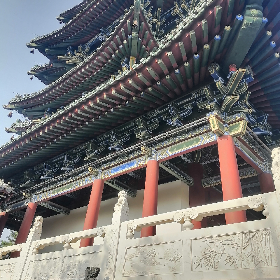 青蛙王子ZKAvcH海报