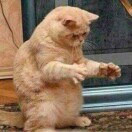 酒醉初方醒的头像