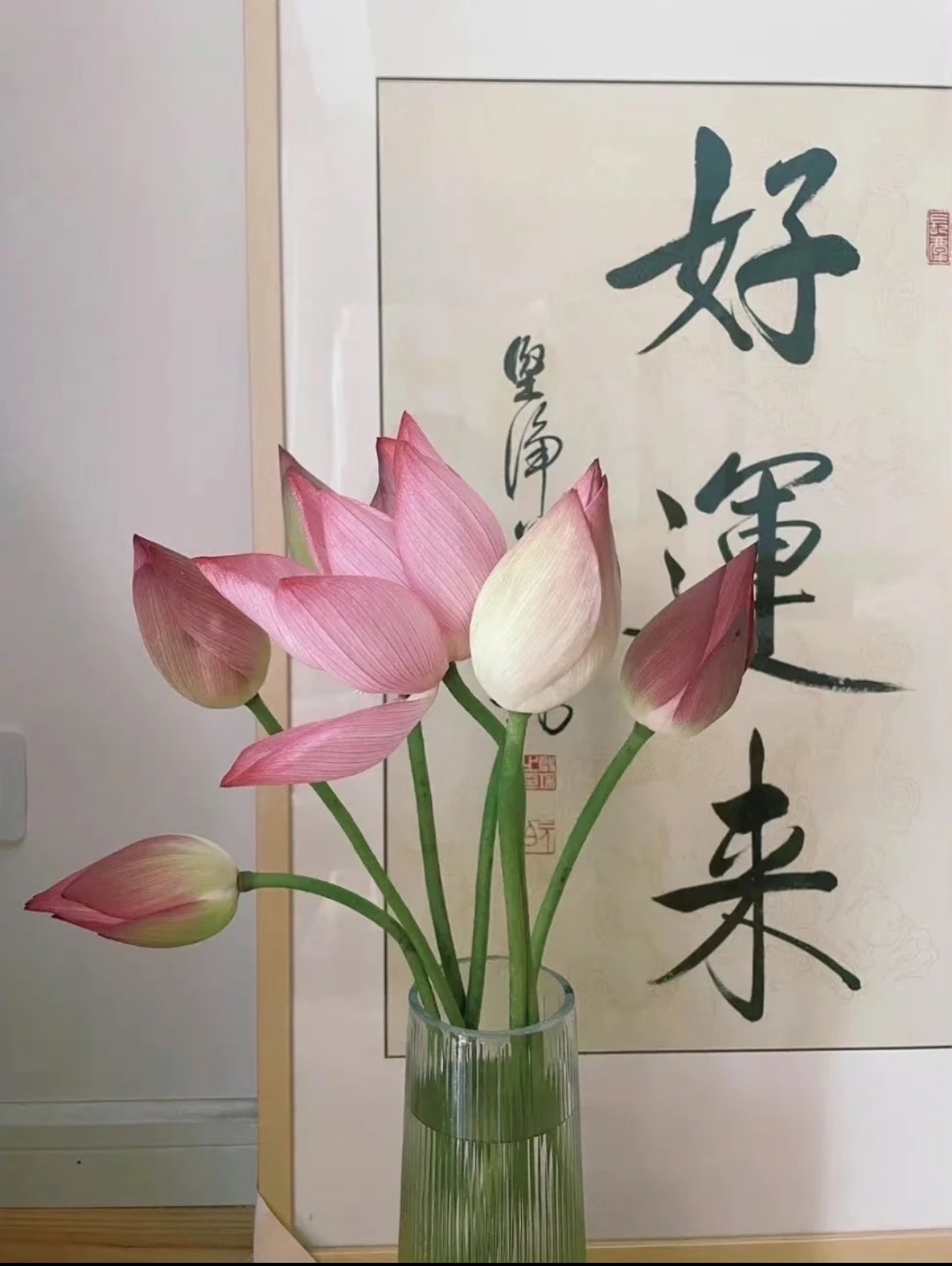 李悠悠🌈主播图片