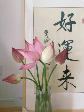 李悠悠🌈的图片