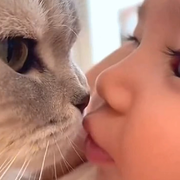 KS的猫大爷℡的头像