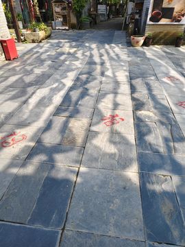 桃子🍑游园中的图片