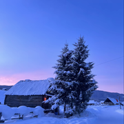 与花辞酒🍺的头像