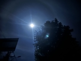 团团🦄求升级呀的图片