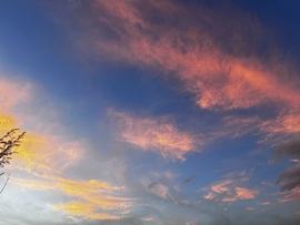 团团🦄求升级呀的图片