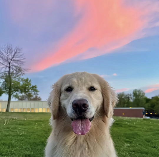 王权富贵212海报