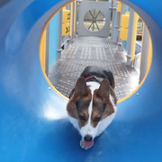 本人已退请勿打扰