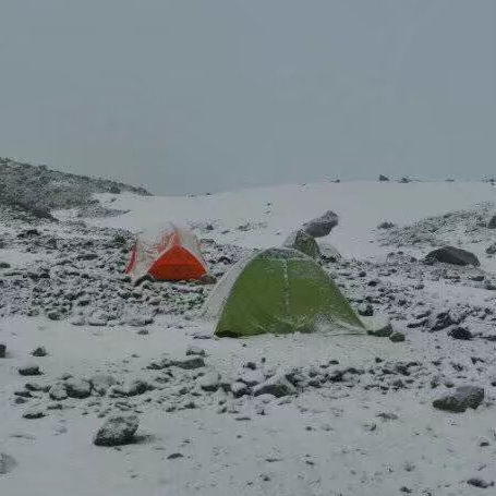 本人已退请勿打扰海报