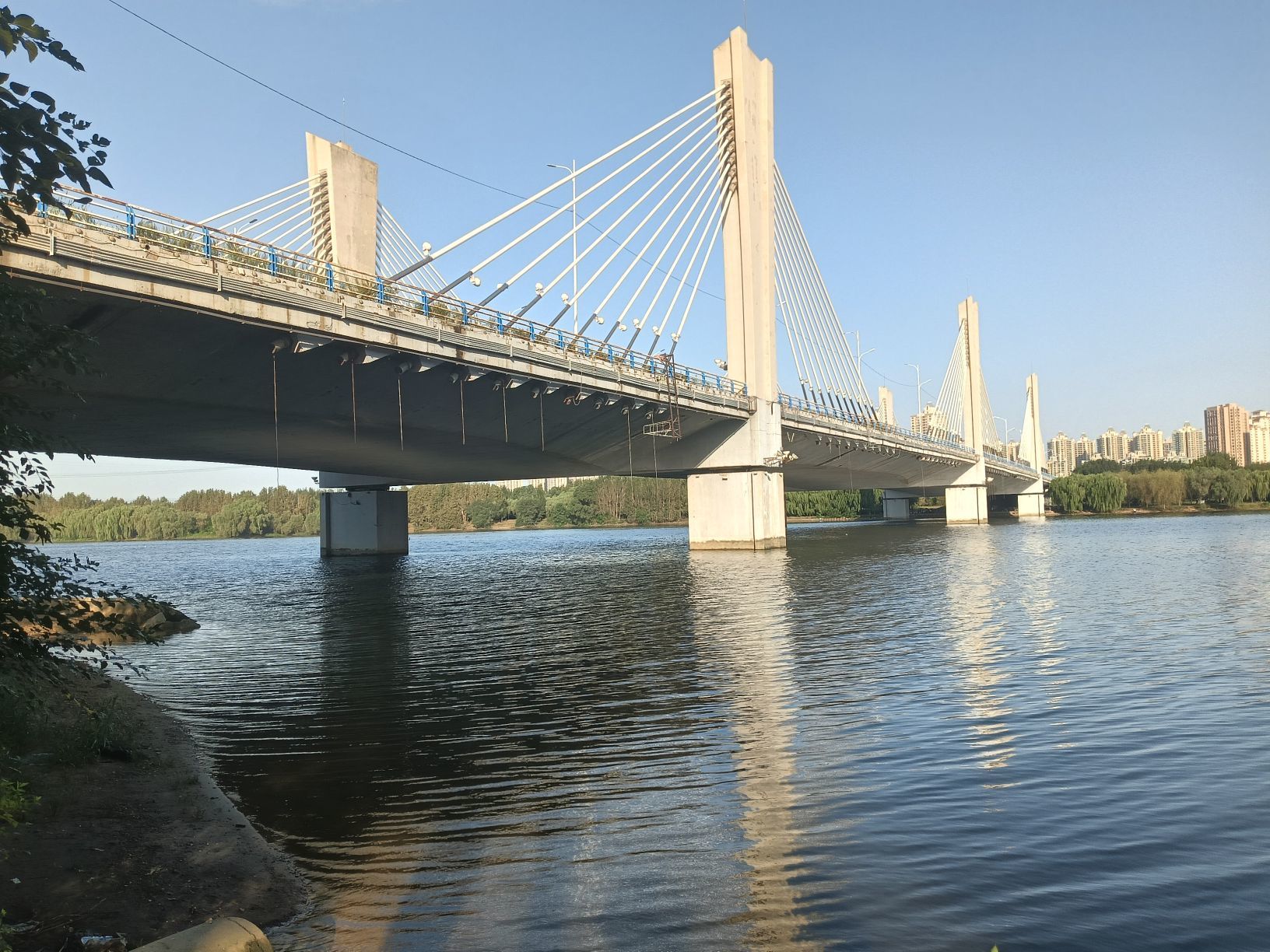 亲爱的你在想我吗冷凡主播图片