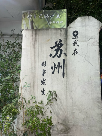 北家玉米🌽海报