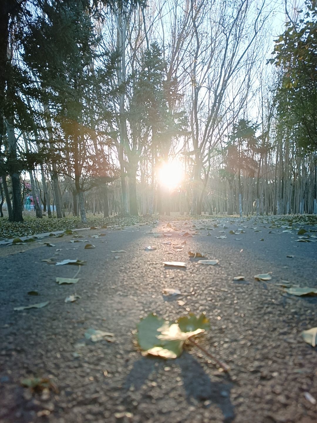 小七金光灿灿主播图片