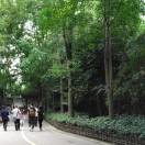 [太阳]晚睡早起的打