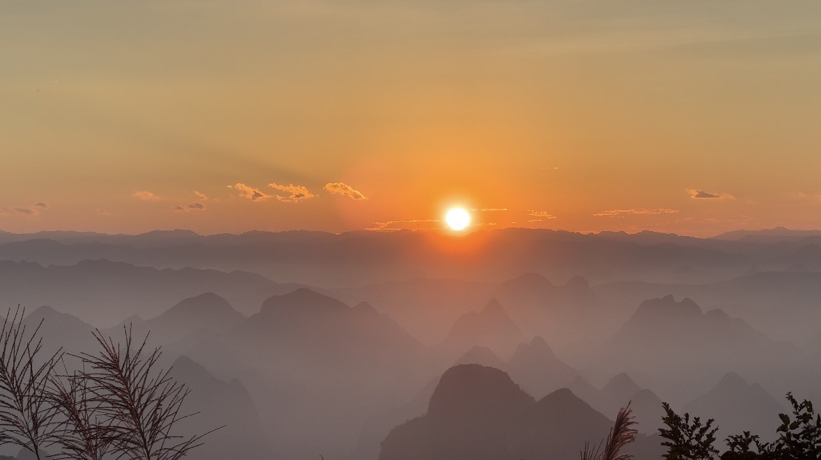 南星🍀主播图片