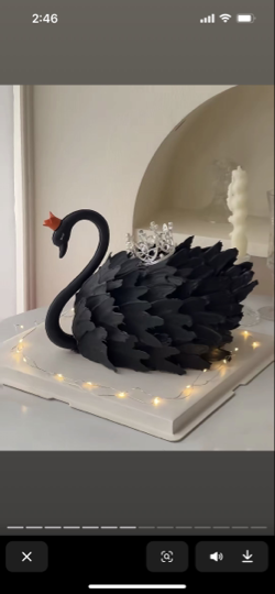 🌈舍、得)海报