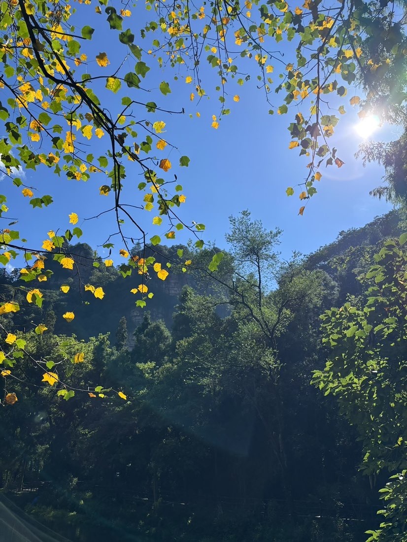 小可柔💜主播图片