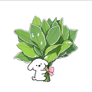 小蝶👑好运常伴～