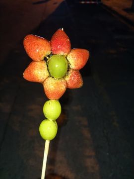 新人~棠棠的图片