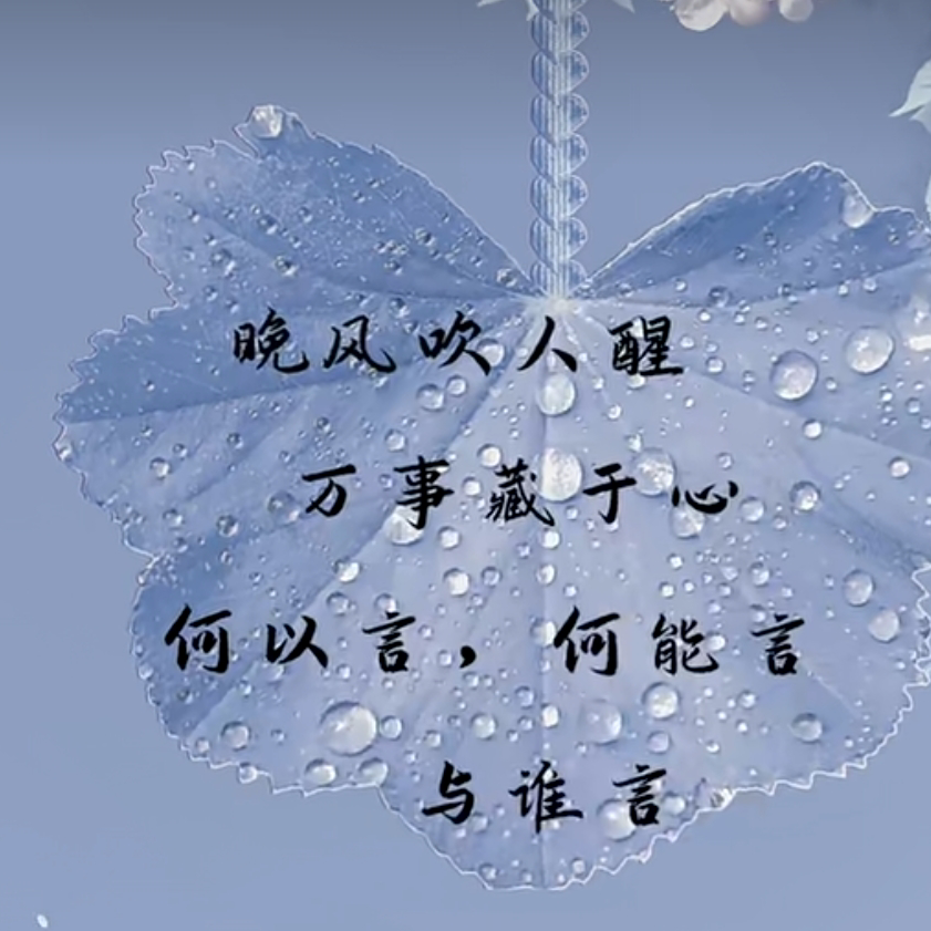 𝑄𝑢𝑒晚风╮海报