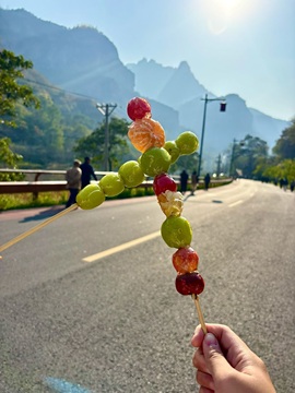 小丸子🍡山里不定时的图片