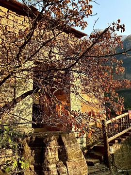 小丸子🍡山里不定时的图片