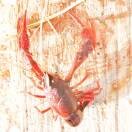 😎ablmt江😎的头像