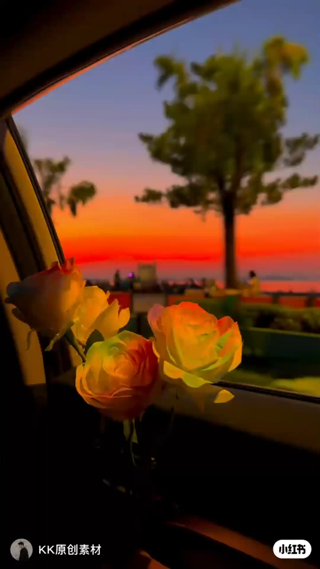 千里莺啼绿映红，水村