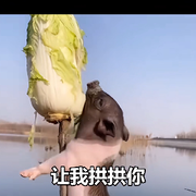 足迹*天下的头像