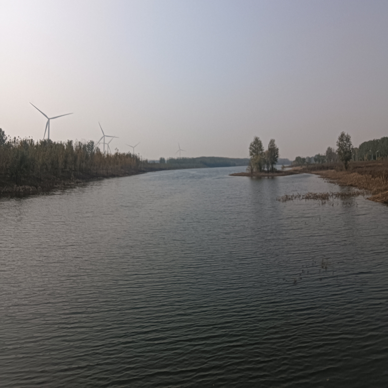 落葉不語風不懂海报